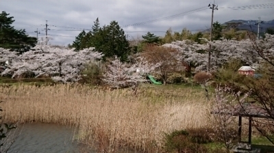 DSC_0037.jpg