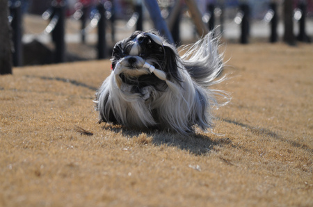 DSC_0037.jpg