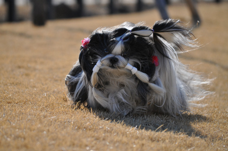 DSC_0040.jpg
