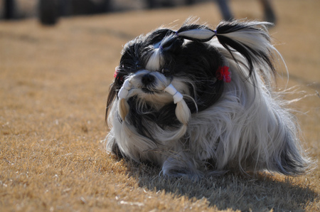 DSC_0041.jpg