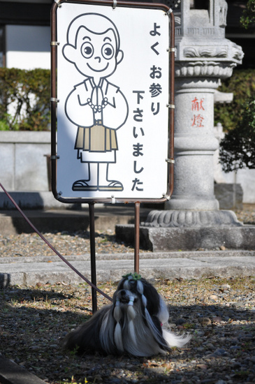 DSC_0045.jpg