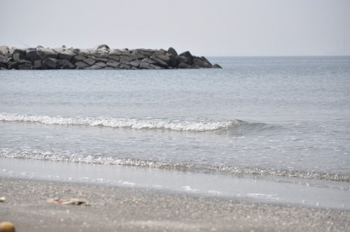 DSC_0046.jpg