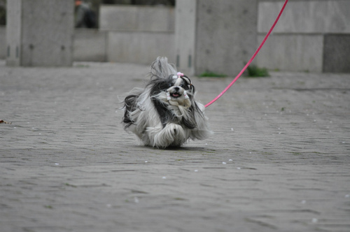DSC_0050.jpg