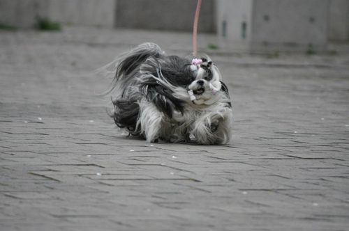 DSC_0055.jpg