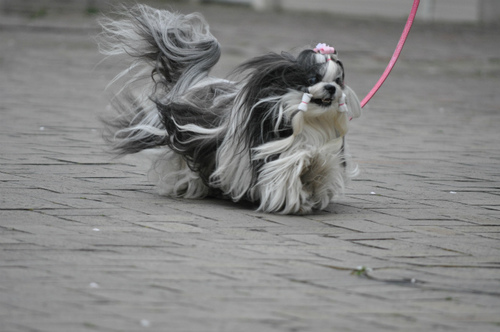 DSC_0058.jpg