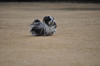 DSC_0061.jpg