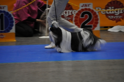 DSC_0071.jpg