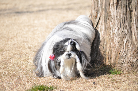 DSC_0071.jpg