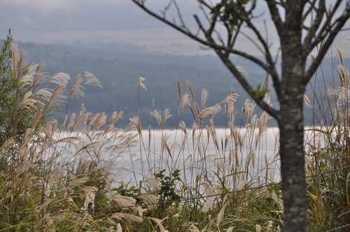 DSC_0076.jpg