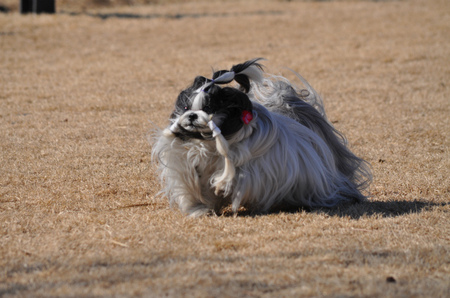 DSC_0080.jpg