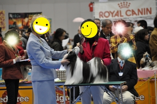 DSC_0081.jpg