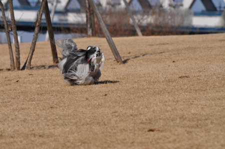 DSC_0089.jpg