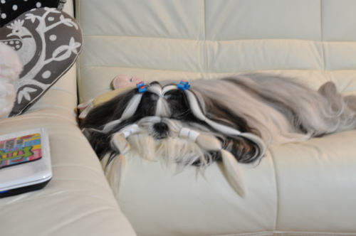 DSC_0091.jpg