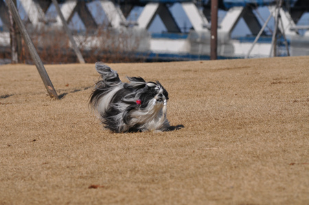 DSC_0091.jpg