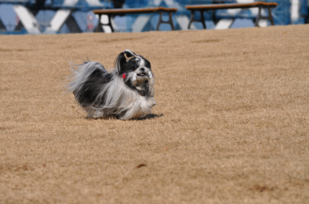DSC_0094.jpg