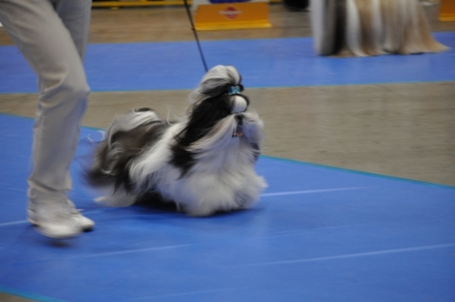 DSC_0099.jpg