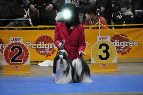 DSC_0144.jpg