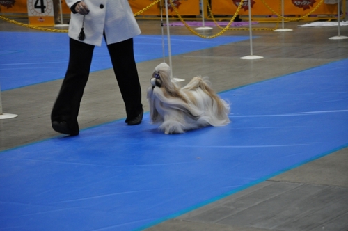 DSC_0148.jpg