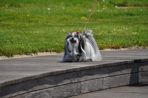 DSC_0161.jpg