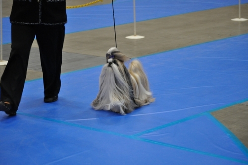 DSC_0171.jpg
