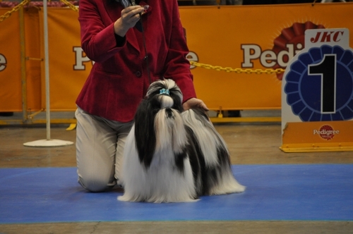 DSC_0187.jpg