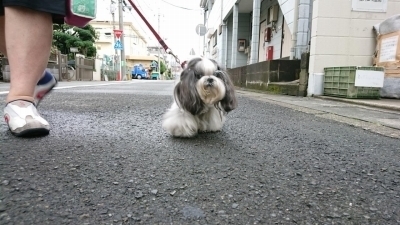 DSC_1017.jpg