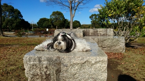 DSC_1555.jpg