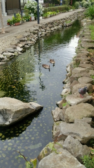 DSC_1669.jpg