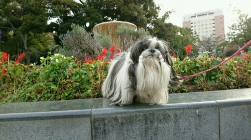 DSC_3041.jpg