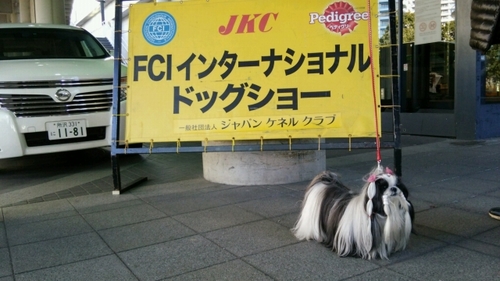 DSC_3448.jpg