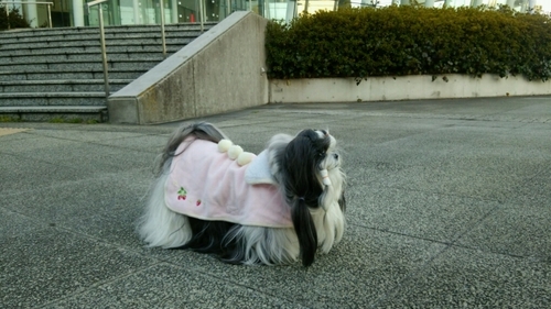 DSC_3618.jpg