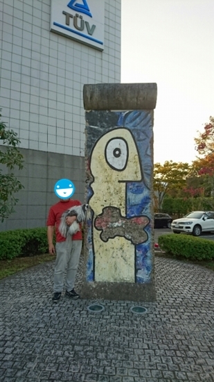 テュフ.jpg