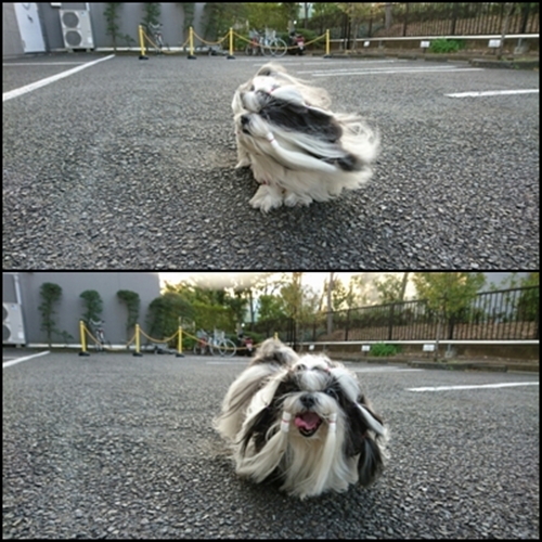 テュフ2.jpg