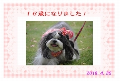 バースデー.jpg