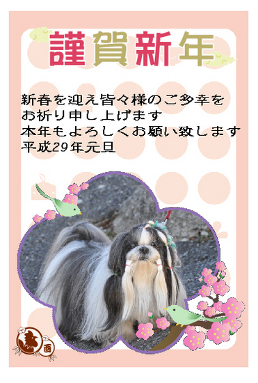 ブログ.jpg
