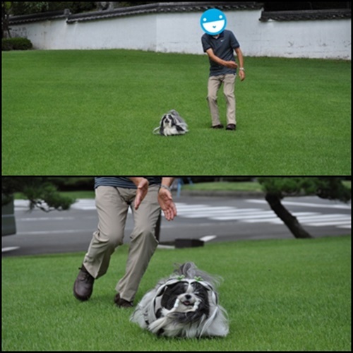 yamao.jpg